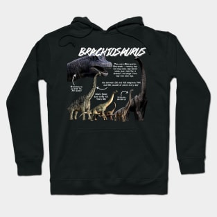 Brachiosaurus Fun Facts Hoodie